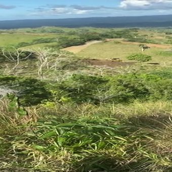 Finca de Cacao en venta en  Gaspar Hernández